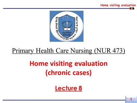 Home visiting evaluation