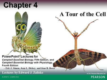 Chapter 4 A Tour of the Cell.