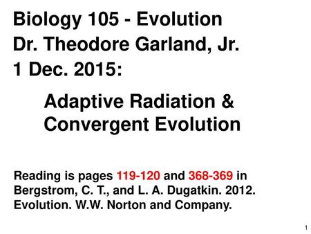 Adaptive Radiation & Convergent Evolution