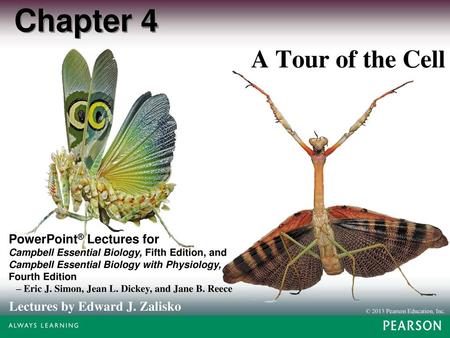 Chapter 4 A Tour of the Cell.