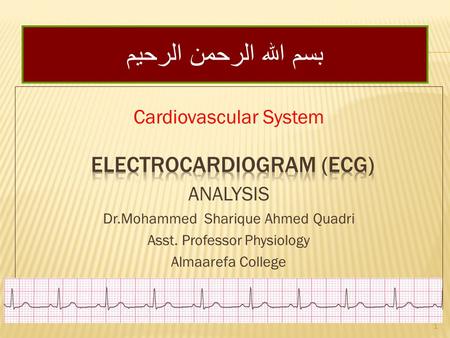 ELECTROCARDIOGRAM (ECG)